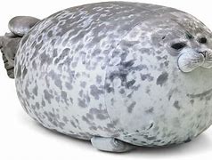 Image result for Fat Seal