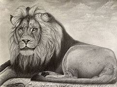 Image result for Lion Panel Art