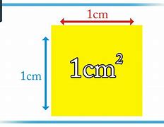 Image result for 1 Cm Square