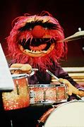 Image result for Animal Drummer