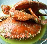 Image result for Ketam Bangkang