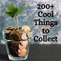 Image result for People Who Collect Things Book