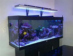 Image result for LED Aquarium Lighting