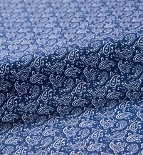 Image result for Blue Paisley Print