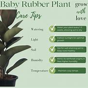 Image result for Rubber Babies Breastfeeding