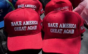 Image result for Funny Maga Hat