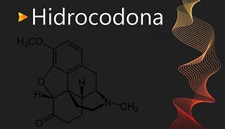 Image result for Hidrocodona