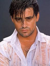 Image result for Matt LeBlanc Model