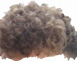 Image result for Zoomer Perm PNG