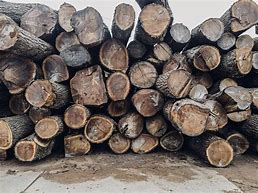 Image result for Lumber Dispformities