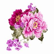 Image result for Peony Vector