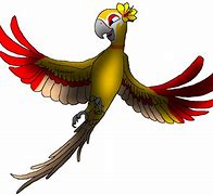 Image result for Rio Parrot OC