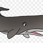 Image result for Sperm Whale Art