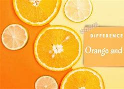 Image result for Orange Tangerine Hybrid