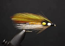 Image result for Fly Fishing Flies