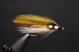 Image result for Fly Fishing Flies Sport