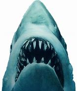 Image result for Shark Jaws Clip Art