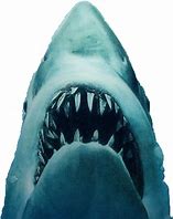 Image result for Jaws No Shark