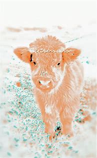 Image result for Blue Cow Aesthetic