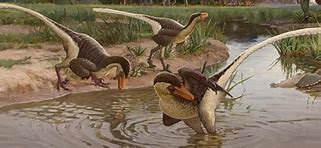 Image result for Feathered Raptor Dinosaur