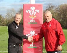 Image result for Welsh Rugby Union Makes