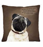 Image result for Pug Sayings