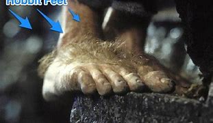 Image result for Hobbit Feet Frodo