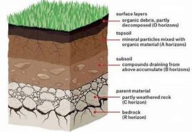 Image result for Typical Soil Profile