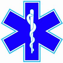 Image result for Paramedic Symbol