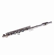 Image result for Silver Flute