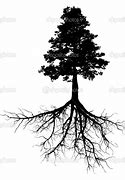 Image result for Tree and Roots Diagram