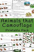 Image result for Animal Camouflage Art