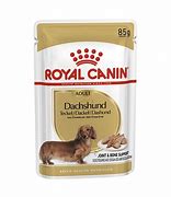 Image result for royal canin dachshund wet food