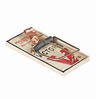 Image result for Baiting Victor Mouse Trap