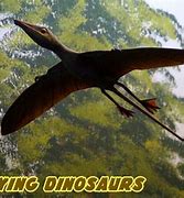 Image result for Dinosaurs That Could Fly