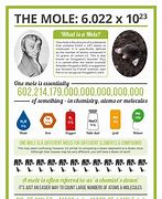 Image result for Mole Poster