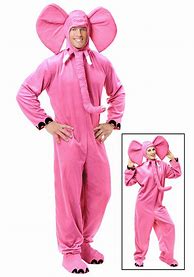 Image result for Pink Costumes