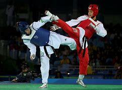 Image result for Korean Taekwondo