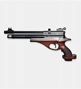 Image result for PCP Sniper Rifle