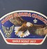 Image result for Girl Scout Eagle Awards