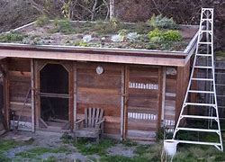 Image result for Chicken Co-op Roof Ideas