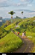 Image result for Mountain Indonesia Walk