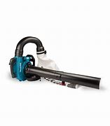 Image result for Leaf Blower and Vacuum