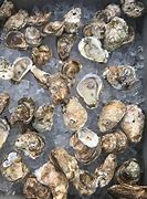 Image result for Beech Mountain Oyster Roast