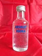 Image result for Pics of Vodka Party