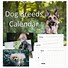 Image result for Cattle Dog Calendar