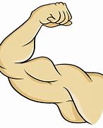 Image result for Drawings of Biceps