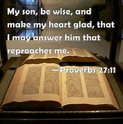 Image result for Proverbs 27 11