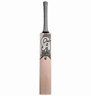 Image result for CA. Dragon Bat