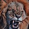 Image result for Roaring Lion Art Print